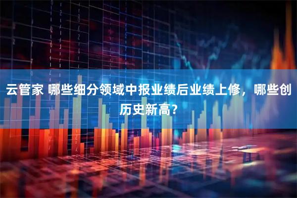 云管家 哪些细分领域中报业绩后业绩上修，哪些创历史新高？