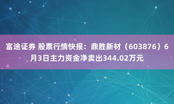 富途证券 股票行情快报：鼎胜新材（603876）6月3日主力资金净卖出344.02万元