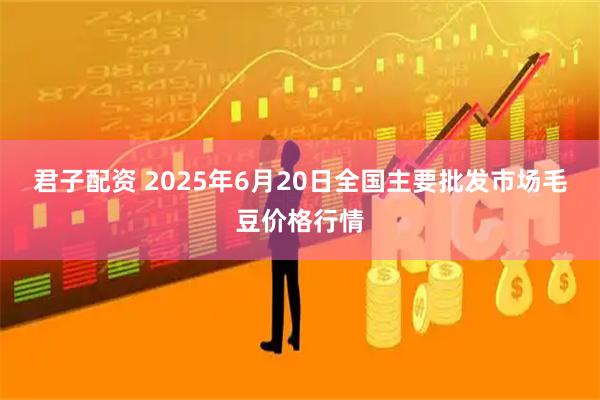君子配资 2025年6月20日全国主要批发市场毛豆价格行情