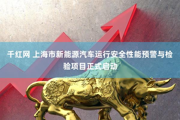 千红网 上海市新能源汽车运行安全性能预警与检验项目正式启动
