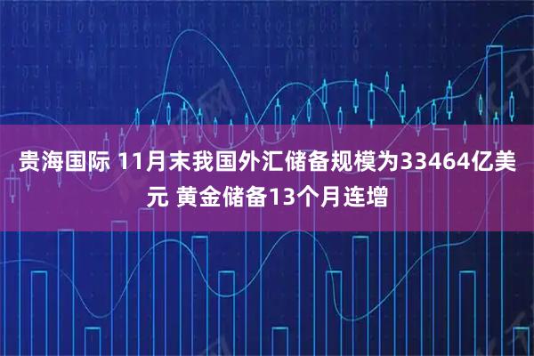 贵海国际 11月末我国外汇储备规模为33464亿美元 黄金储备13个月连增