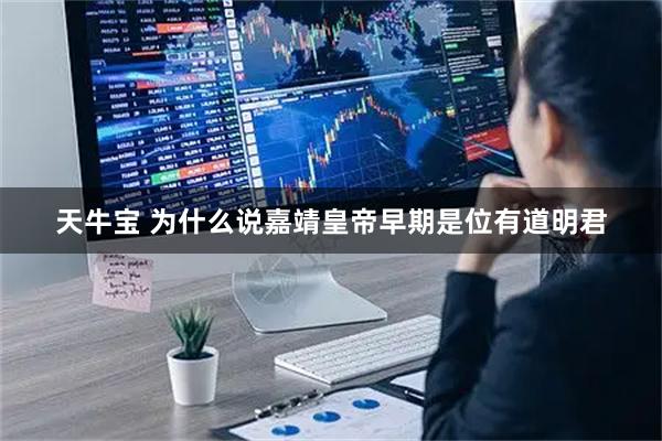 天牛宝 为什么说嘉靖皇帝早期是位有道明君