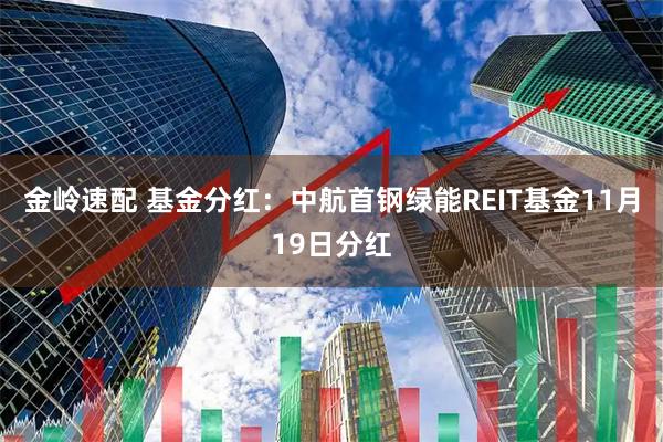金岭速配 基金分红：中航首钢绿能REIT基金11月19日分红