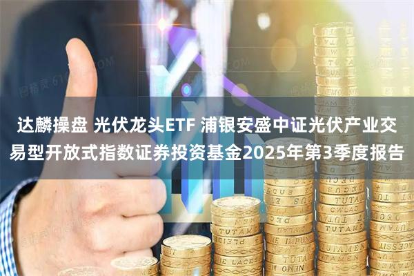达麟操盘 光伏龙头ETF 浦银安盛中证光伏产业交易型开放式指数证券投资基金2025年第3季度报告