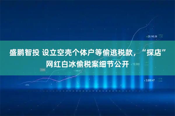 盛鹏智投 设立空壳个体户等偷逃税款，“探店”网红白冰偷税案细节公开